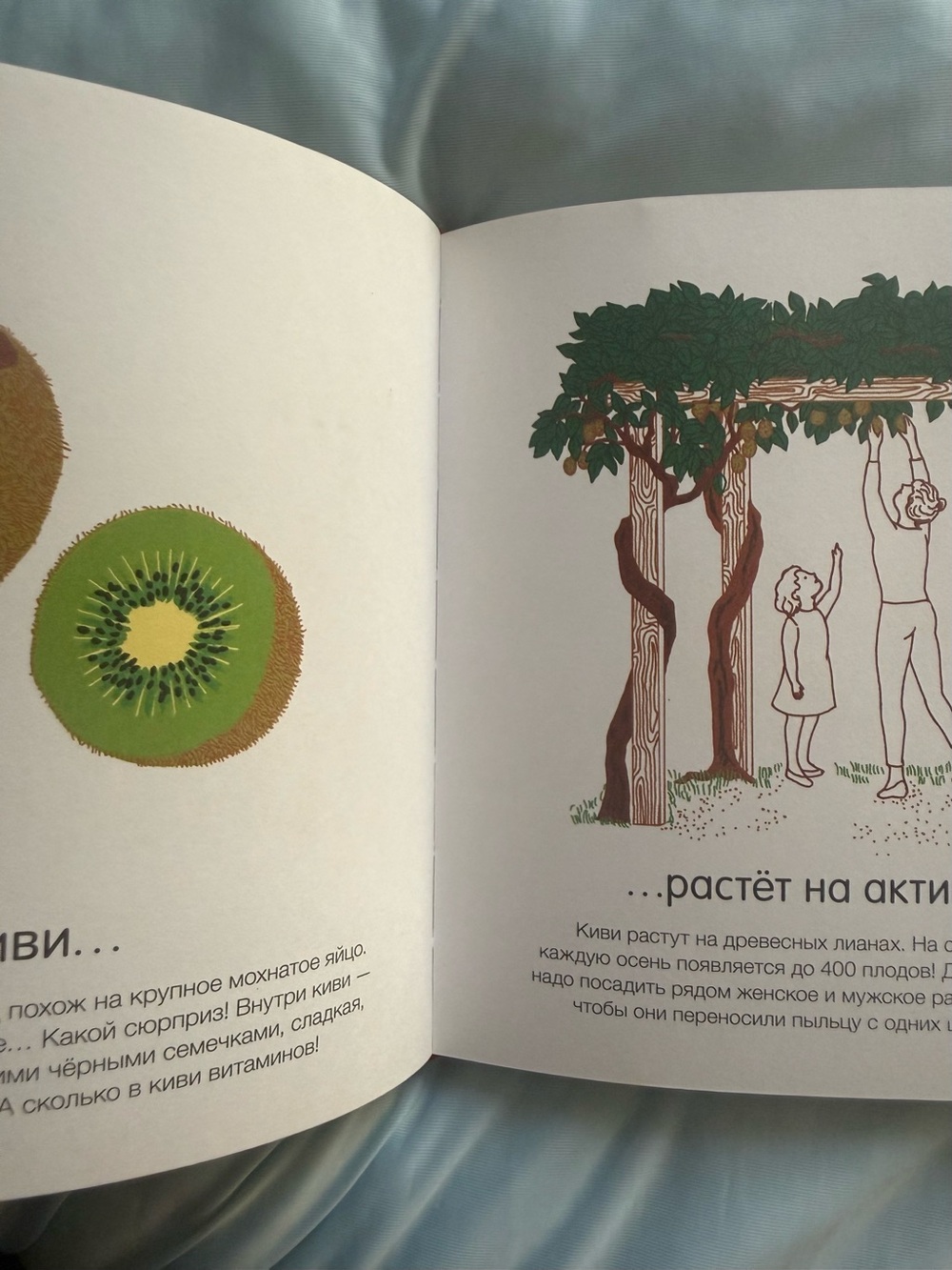 Как они растут? 
Авторы: Франсуаз де Гибер, Клеманс Полле - Picture 4 of 5